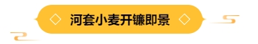 寰?俊鎴?浘_20240725114932.png