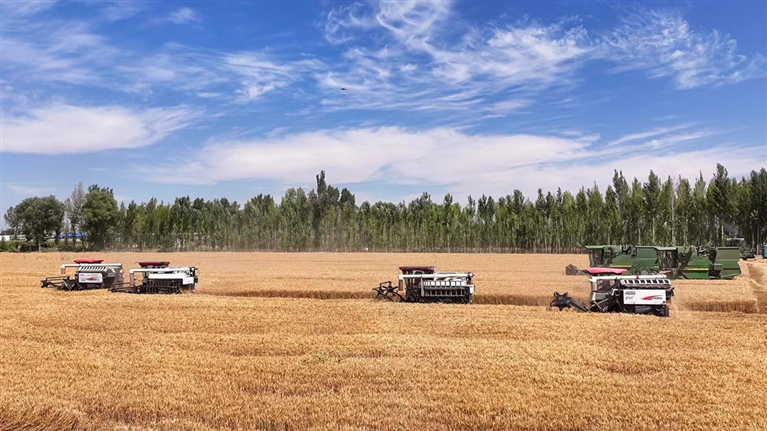 1721957614262024608.jpg 0726001_006_01_s.jpg