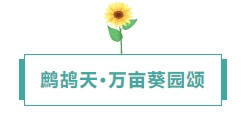 寰?俊鎴?浘_20240809112838.png