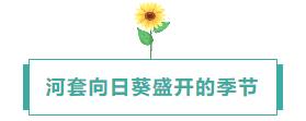 360鎴?浘20240812104128838.jpg