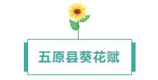 360鎴?浘20240812104512327.jpg