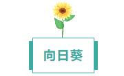 360鎴?浘20240812104425376.jpg