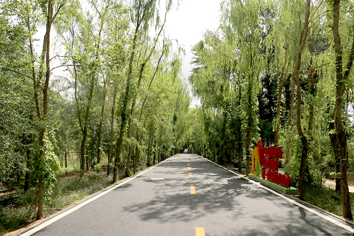 bynewb1008005_001_01_s.jpg