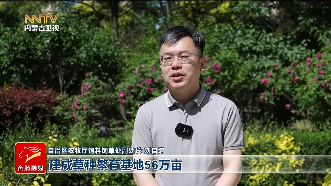 视频截图