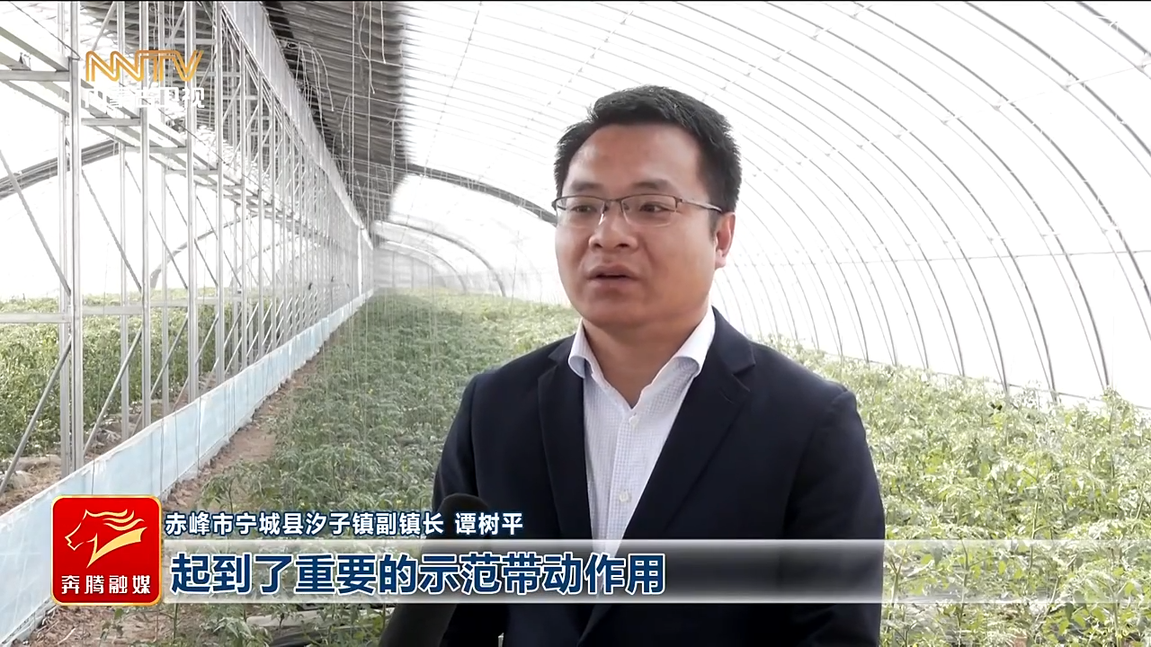 视频截图