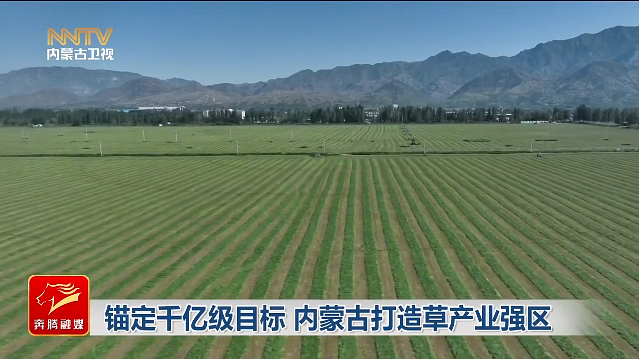 视频截图