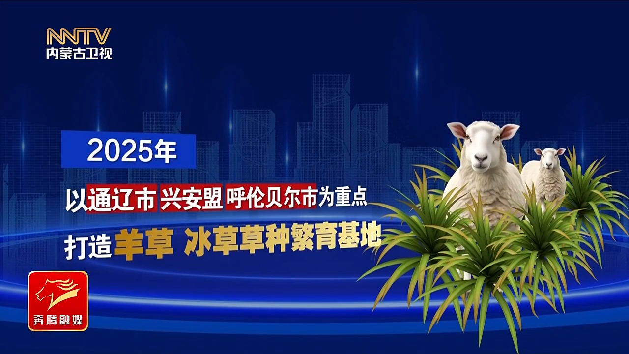 视频截图