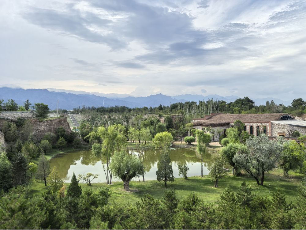 宁夏银川市西夏区镇北堡镇源石酒庄经过修复的废弃矿坑,如今满目新绿(2025年7月8日摄)。新华社记者 马丽娟 摄