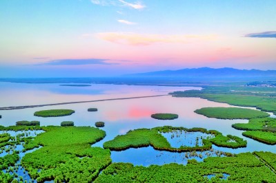 俯瞰乌梁素海。高向龙摄/光明图片