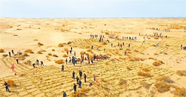 2024年4月,杭锦后旗乌兰布和沙漠治理现场。斯日古冷摄