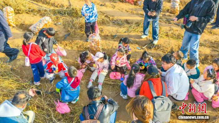 图为小孩子们在呼和浩特市武川县的农田里“捡秋”。乐炎摄