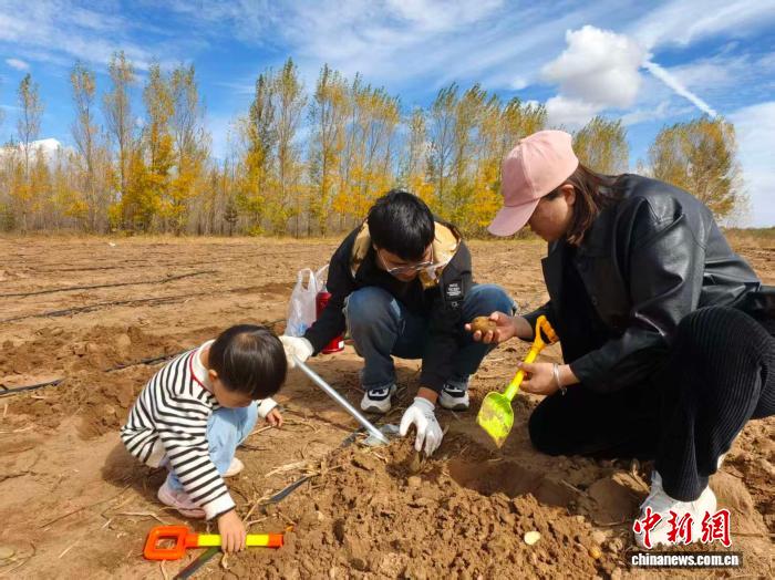 图为游客在锡林郭勒盟的田野里“捡秋”。锡林郭勒盟委宣传部供图