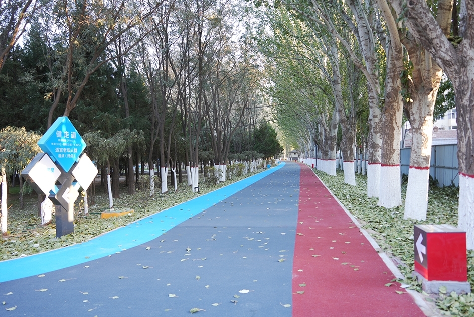 改造后的人民公园园路