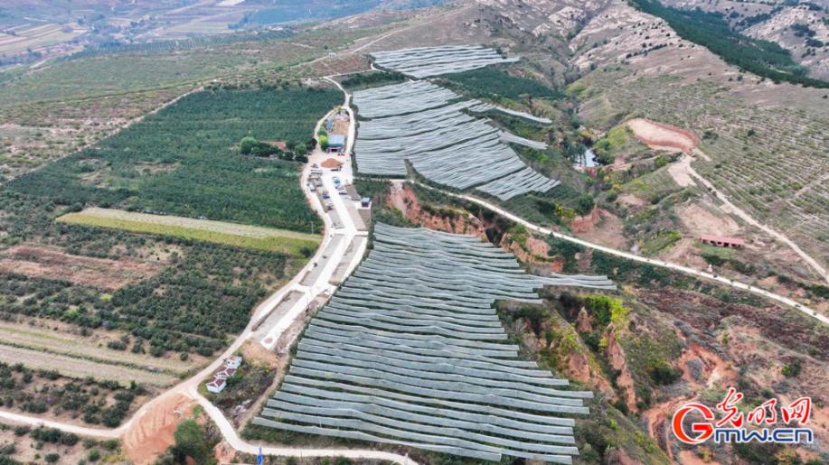 内蒙古自治区赤峰市宁城县的酵素苹果产业园