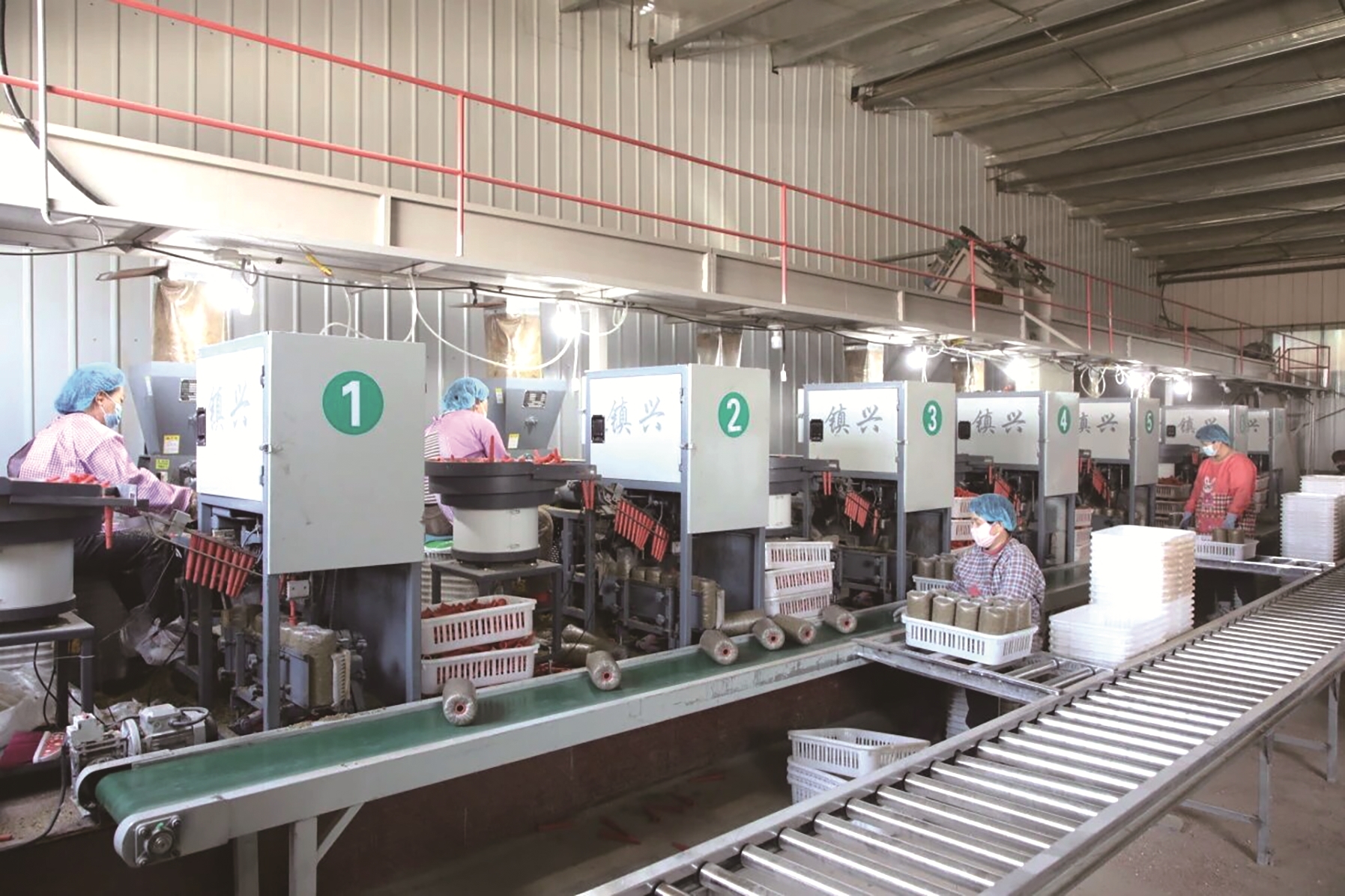 芦耳菌棒生产线