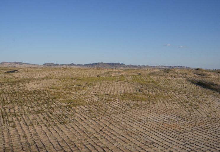 翁牛特旗科尔沁沙地治理项目现场