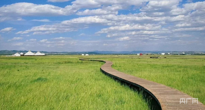 呼和浩特的都市气息越来越浓了(央广网发 受访单位供图)