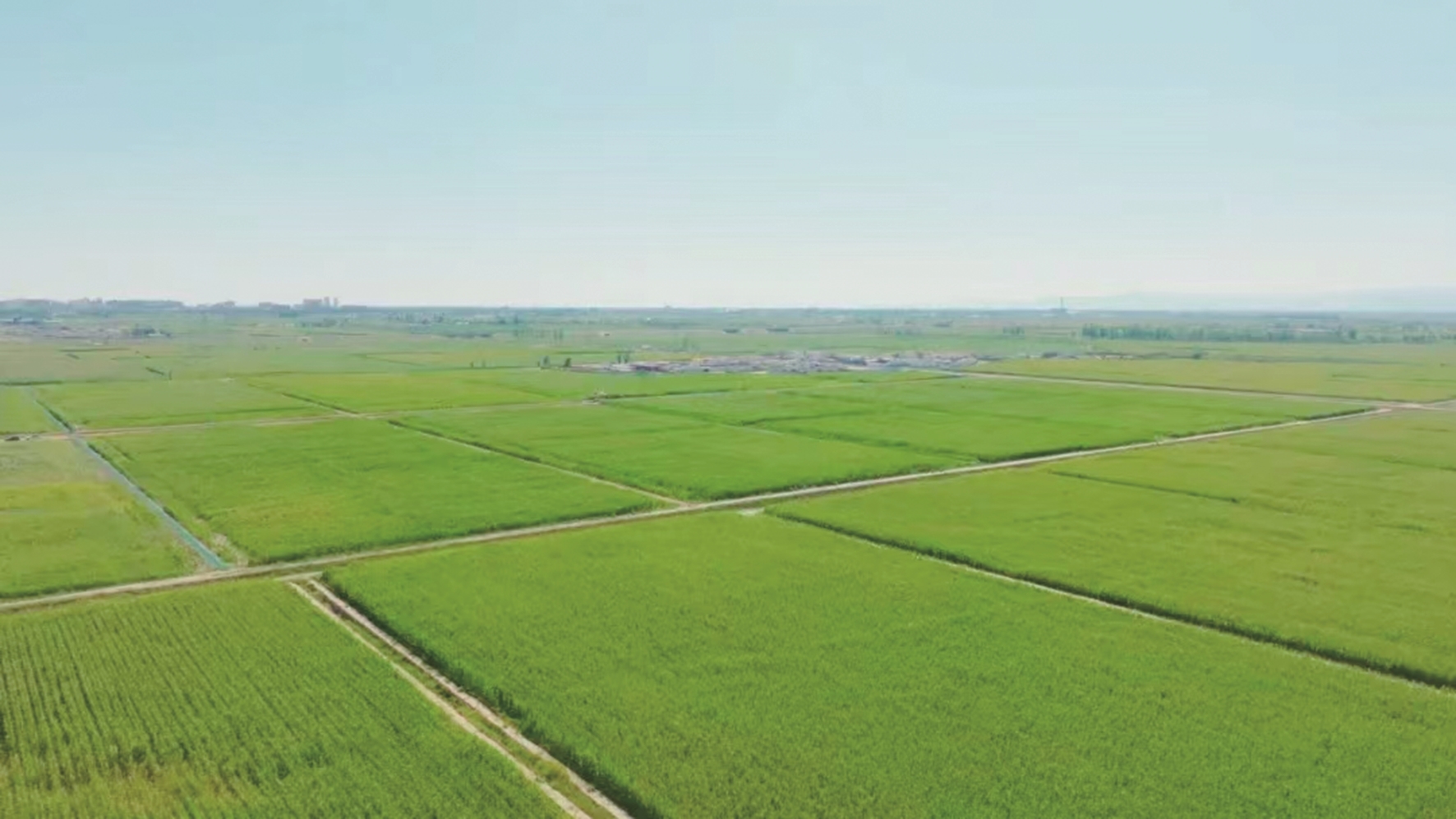 高标准农田项目区(资料图)