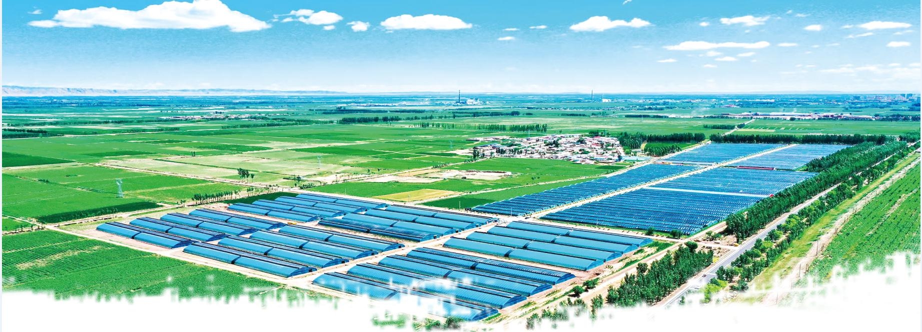 设施农业快速发展(资料图)