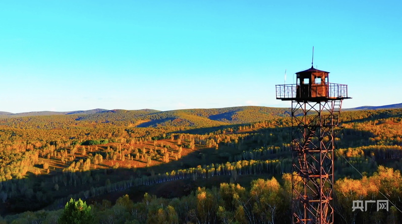 秋季的呼伦贝尔市鄂温克族自治旗林区(央广网发 鄂温克族自治旗融媒体中心供图)