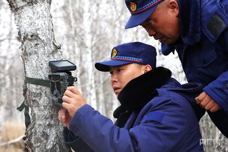 呼伦贝尔市陈巴尔虎旗那吉林场巡护防火队员布设红外摄像机(央广网发 谢辛垚 摄)