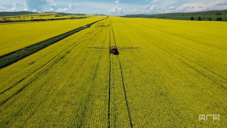 “三夏”时节,农业机械正在呼伦贝尔田间作业(央广网发 呼伦贝尔市农牧局供图)