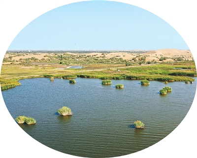 位于库布其沙漠里的七星湖景区 新华社记者 李志鹏摄