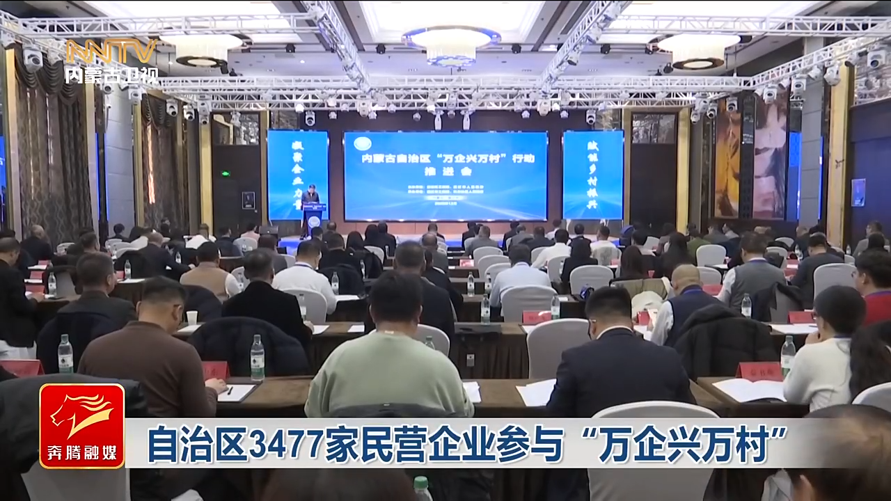 视频截图