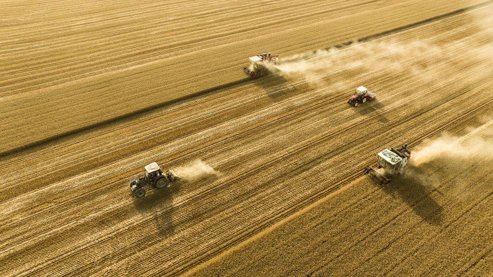 2025年6月4日,在河南省商丘市梁园区李庄镇潘堂村志诚种植农民专业合作社,农机手操作机械在农田作业(无人机照片)。新华社发(李恒 摄)