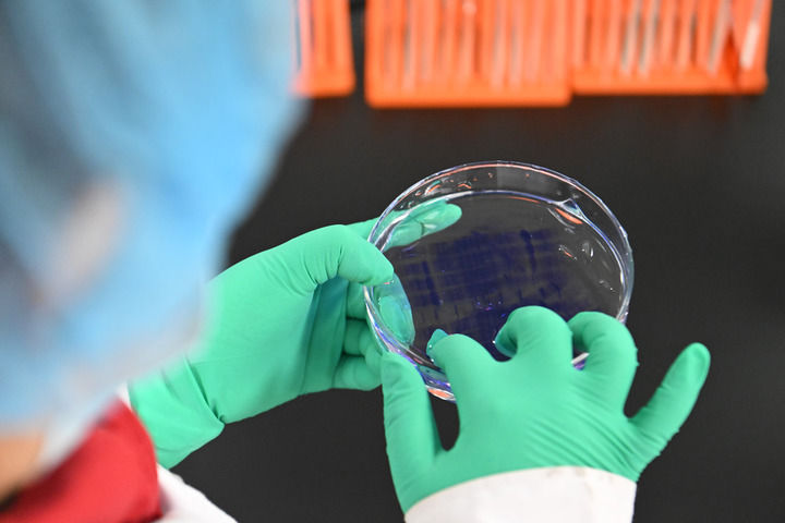 2025年2月20日,在位于京津中关村科技城的中科拜克(天津)生物药业有限公司,实验人员在检验生物制品蛋白分子量。新华社记者 孙凡越 摄