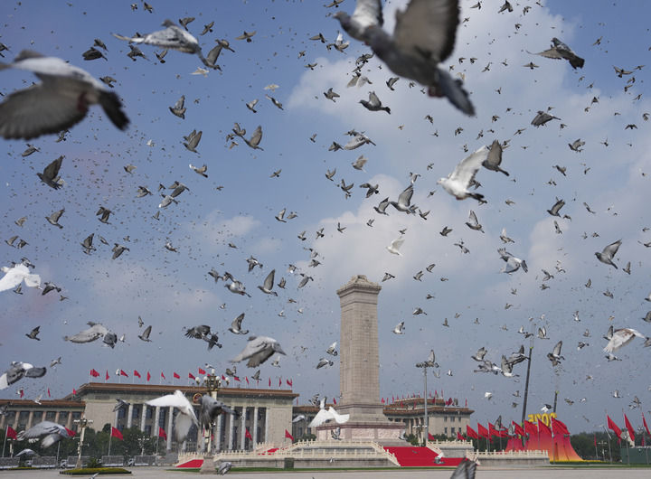 2025年9月3日,纪念中国人民抗日战争暨世界反法西斯战争胜利80周年大会在北京隆重举行。这是纪念大会现场放飞鸽子。新华社记者 牟宇 摄