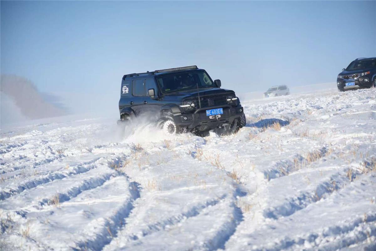 驰骋雪原。