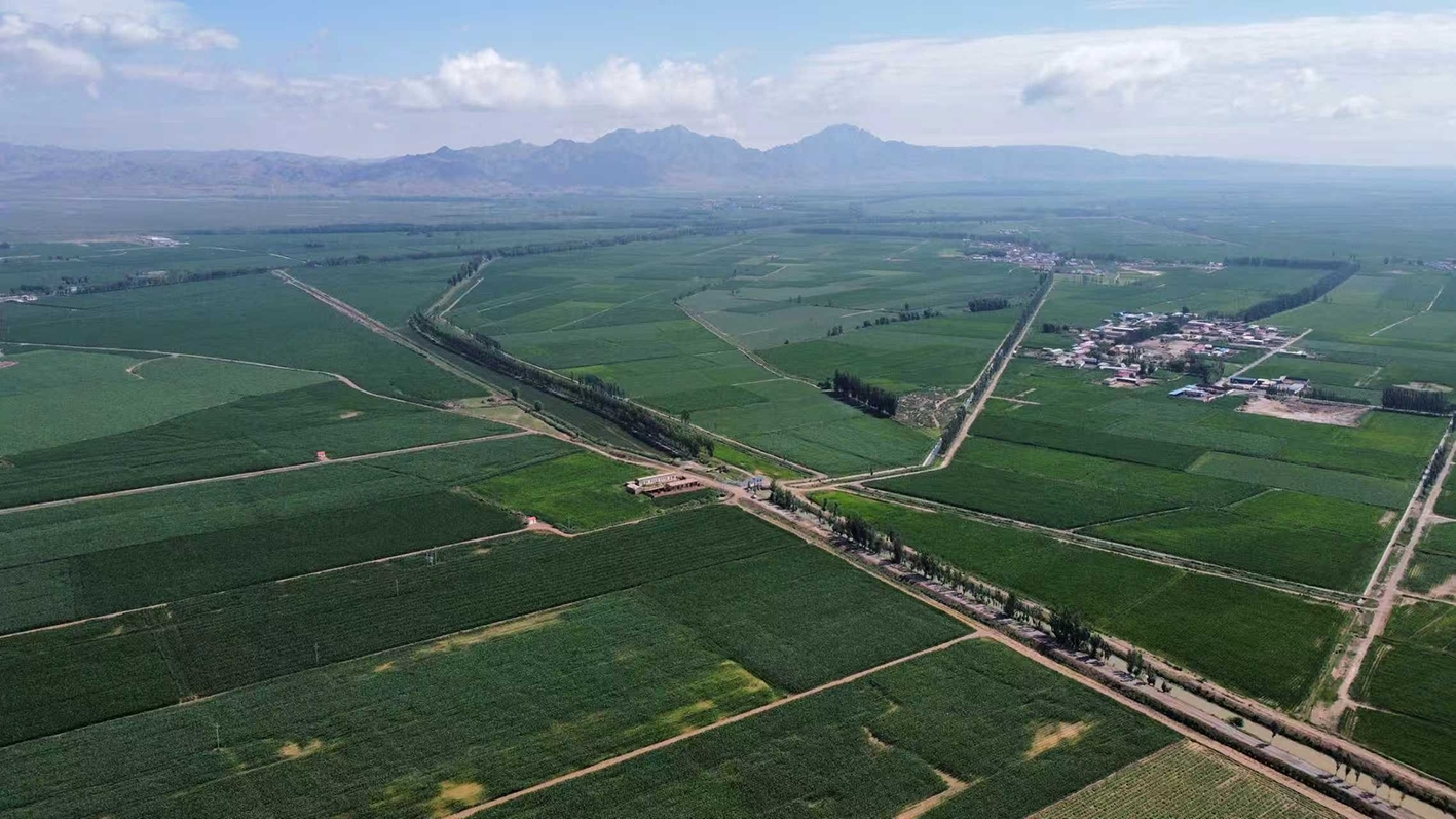 解放闸灌域(资料图)