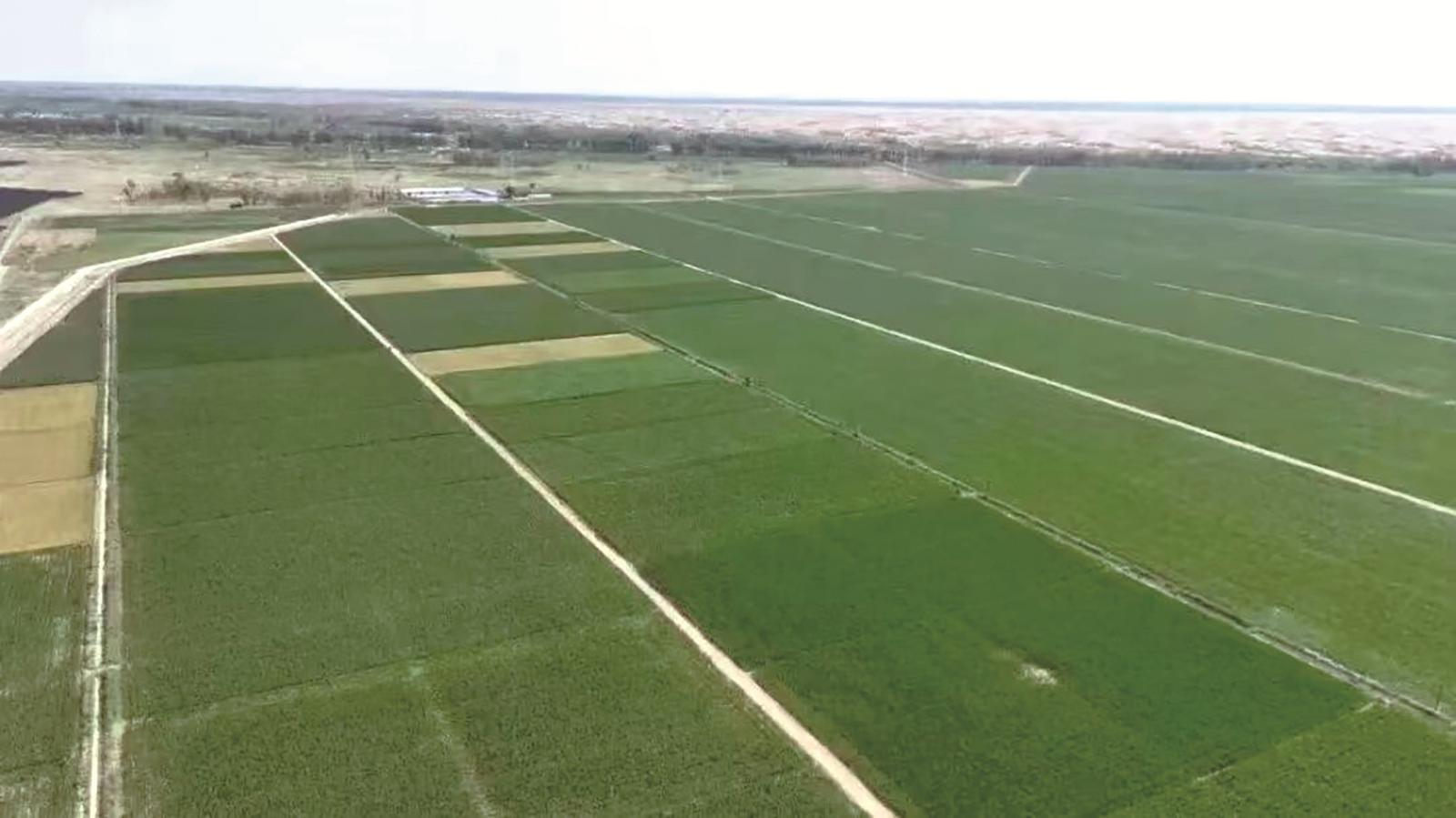 永进村万亩高效节水粮食产业园区(资料图)