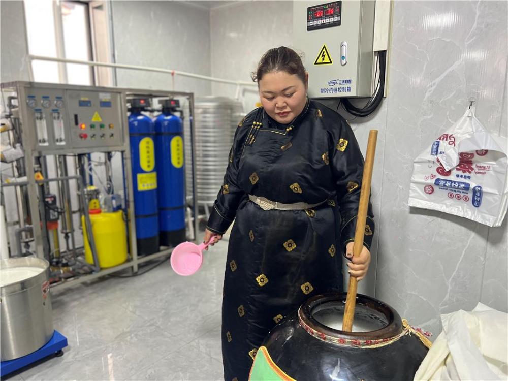 内蒙古自治区锡林浩特市一牧民家演示用传统方法酿制酸马奶。新华社发