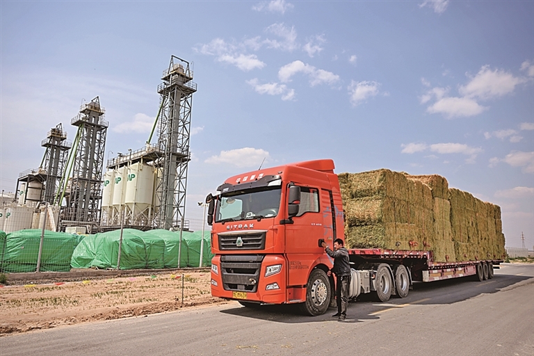 在内蒙古赤峰市阿鲁科尔沁旗,满载牧草的货车准备启程。新华社发