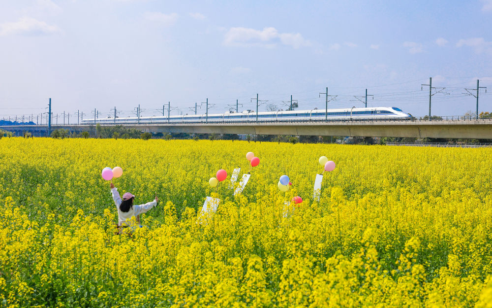 2026年2月26日,游客在四川省泸州市龙马潭区特兴街道慈竹村赏油菜花。新华社发(牟科 摄)