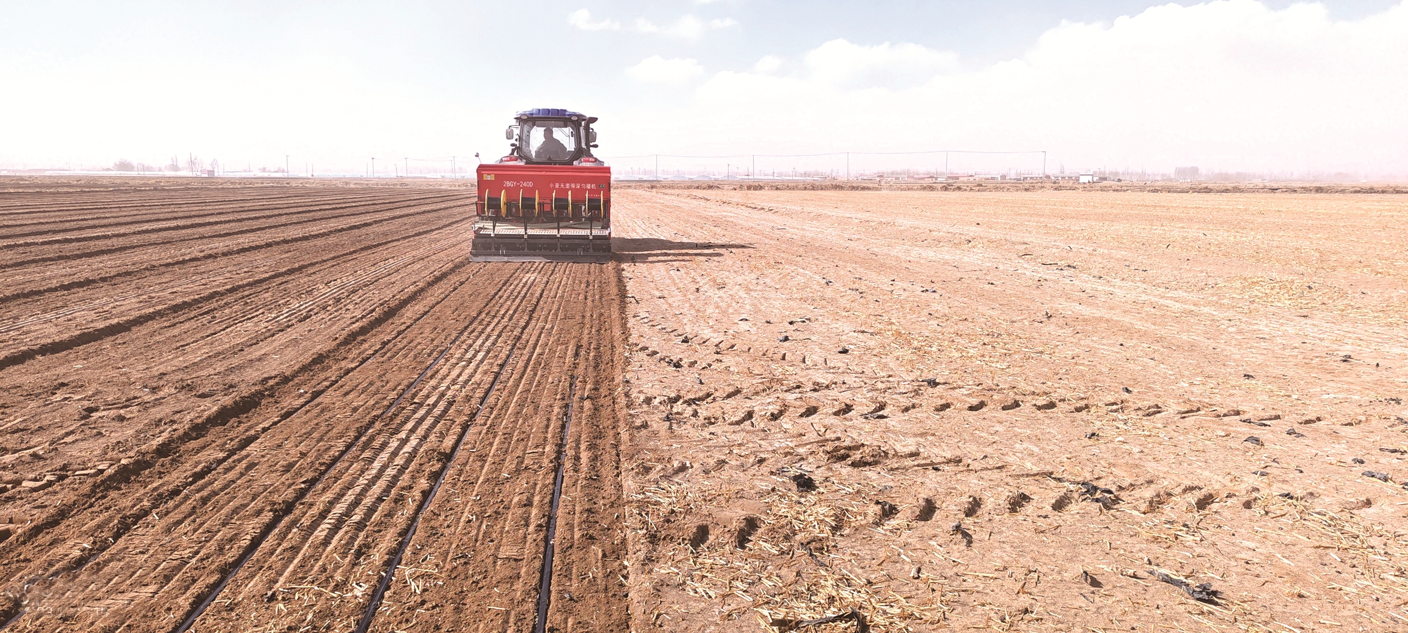 种植现场