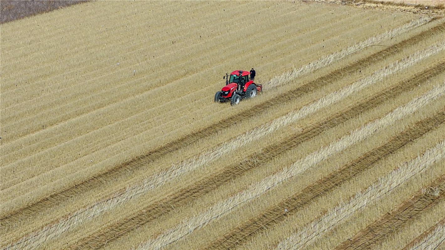 田间劳作。 无效路径