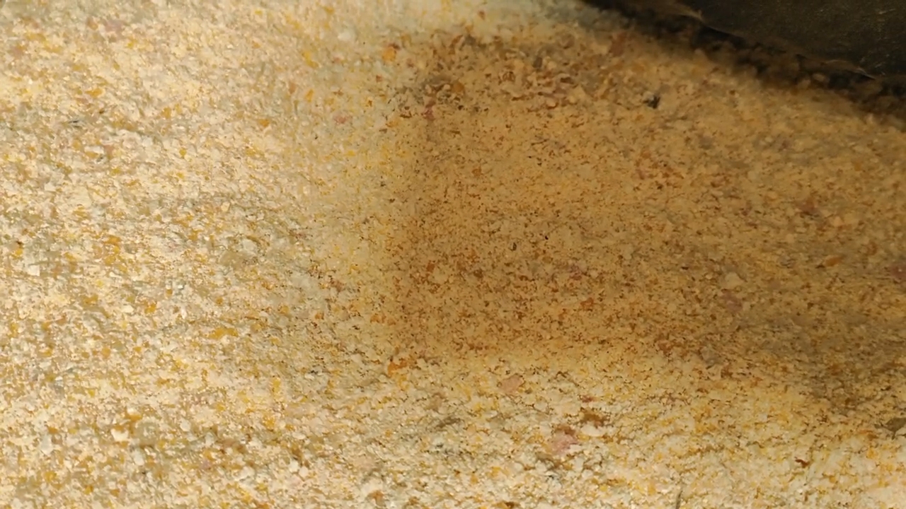 良友家庭农牧场的发酵饲料