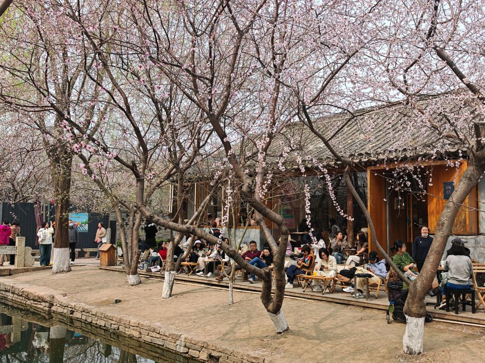 人们在三里河公园赏花休憩(2026年3月24日摄)。新华社记者 陈旭 摄