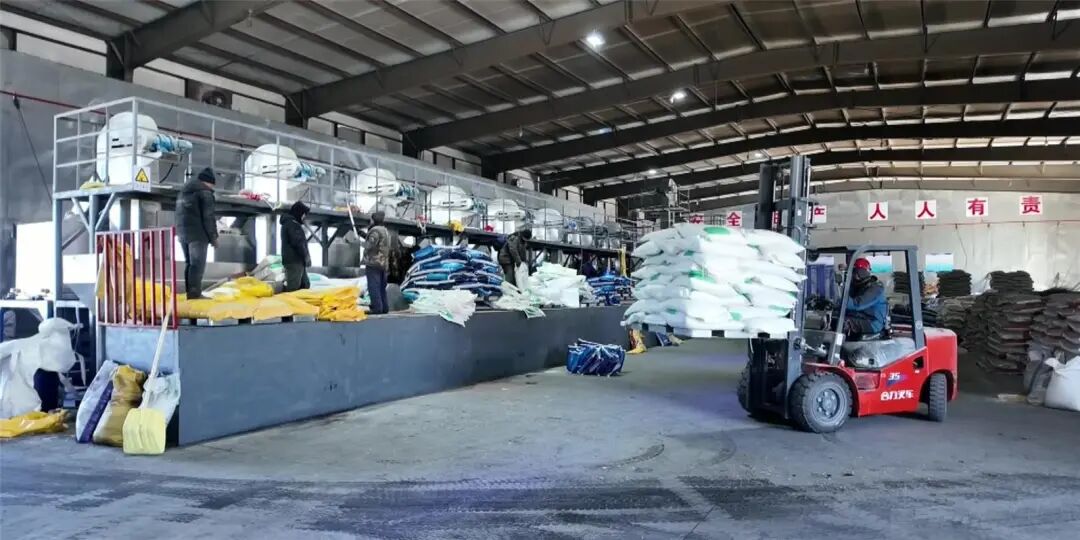 种子转运。 图片