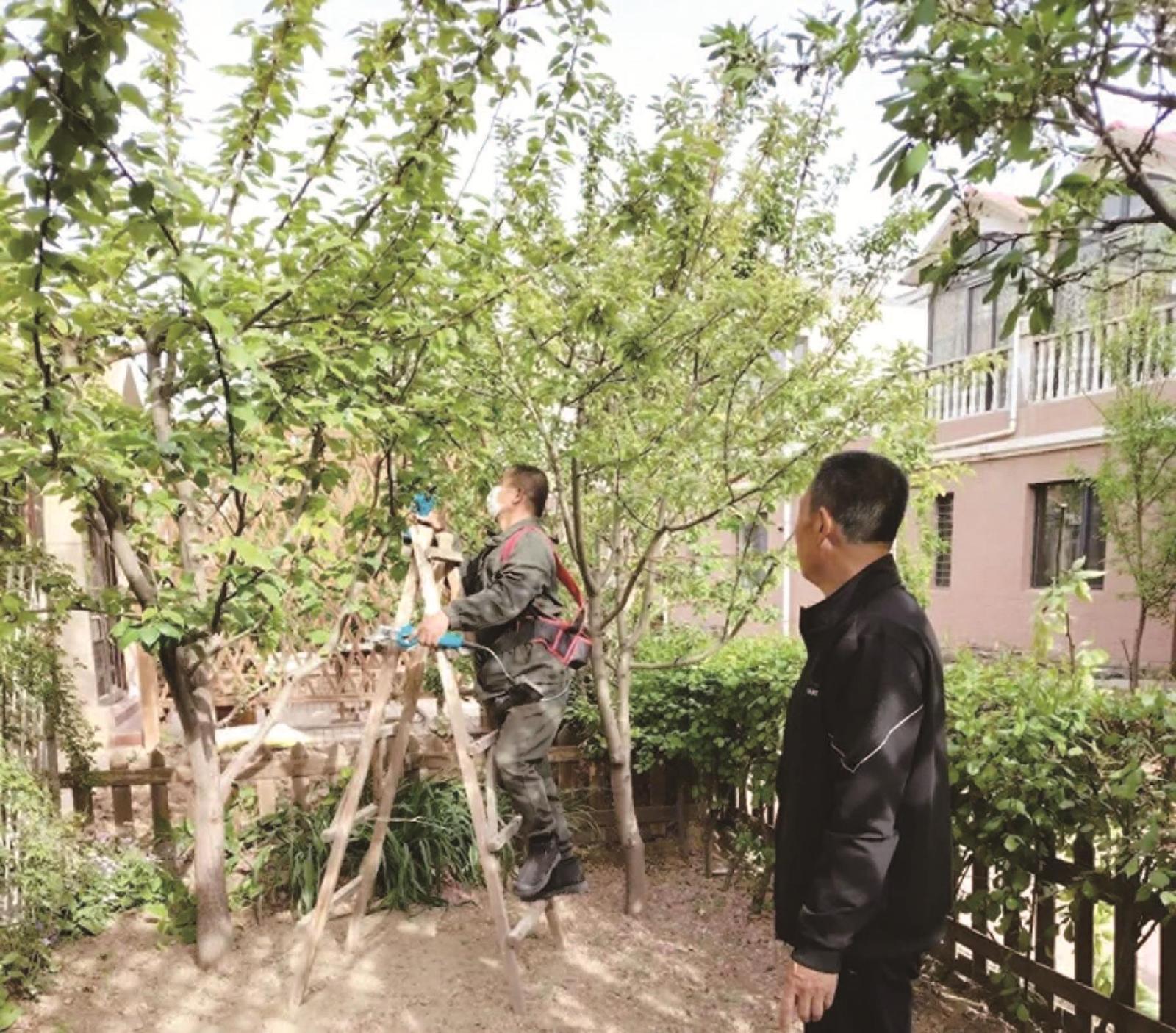 修剪果树