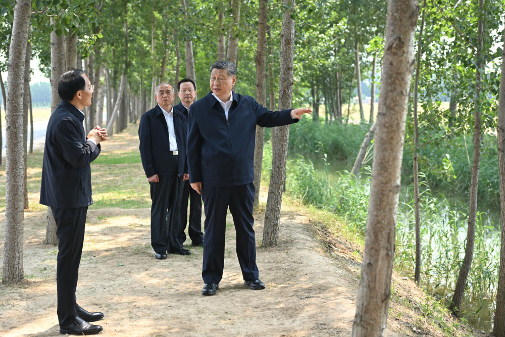 6月24日,中共中央总书记、国家主席、中央军委主席习近平在山东省德州市考察。这是习近平在陵城区边临镇东于架村农田灌渠边察看水肥一体化设施。新华社记者 燕雁 摄