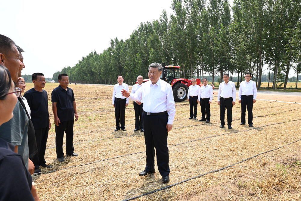 6月24日,中共中央总书记、国家主席、中央军委主席习近平在山东省德州市考察。这是习近平在陵城区边临镇东于架村,走进农田同种粮大户、农机手、农技人员亲切交流。新华社记者 谢环驰 摄