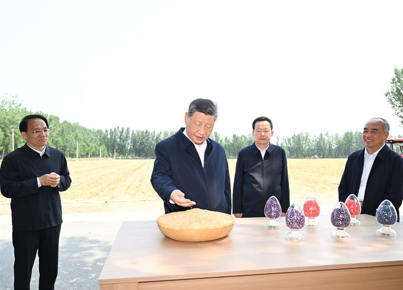△2026年6月24日,习近平总书记在山东德州陵城区边临镇东于架村了解当地“三夏”生产情况。