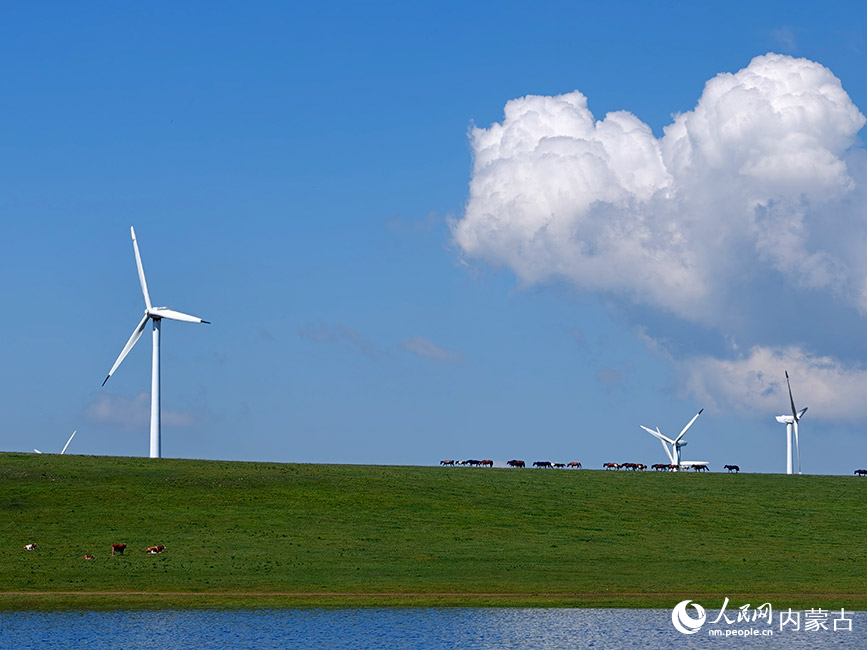 碧水、芳草、风车,绘就生态美景。人民网记者 苗阳摄