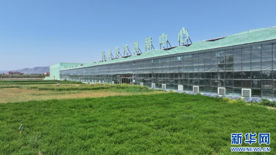这是国家草业技术创新中心。新华社记者李云平 摄