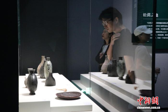 图为民众现场观展。苟继鹏 摄