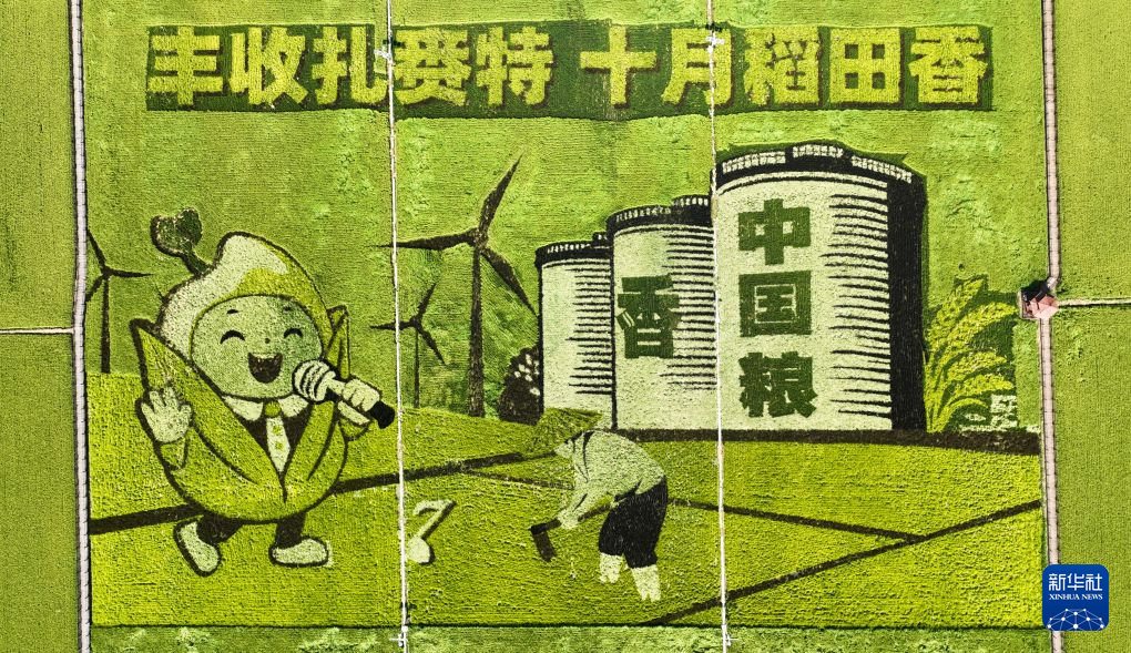 8月20日在内蒙古兴安盟扎赉特旗好力保镇拍摄的稻田画(无人机照片)。 初秋时节,内蒙古兴安盟扎赉特旗水稻田景色秀美。目前正值水稻灌浆期,当地水稻整体长势良好,丰收在望。 新华社记者 贝赫 摄